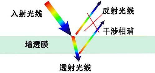 拍照时,你的眼镜为什么会反光