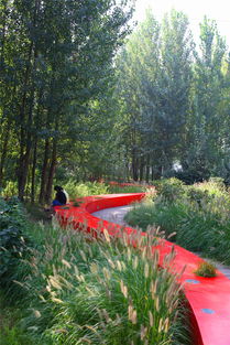 十大新美学公园 Top 10 New Aesthetics Parks in China