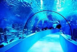 周末亲子游 去乌鲁木齐海洋馆探寻海底世界吧