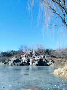 良辰美景代表十二生肖哪只