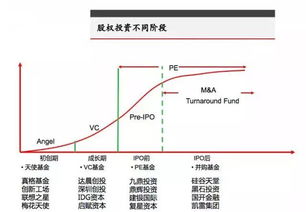 我公司一项长期股权投资，占对方30%股份，由此项投资我公司产生的收益，需缴纳哪些税金