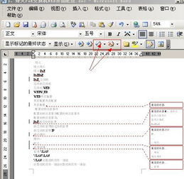 word2016毕业论文怎么改老师的批注