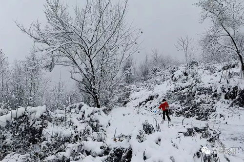 彭州耍雪地图出炉 冬雪 到货 后,这些地方别错过