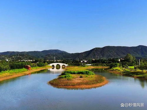 深圳最美湿地公园 自驾 休闲 野餐一流,免费却很少有人知