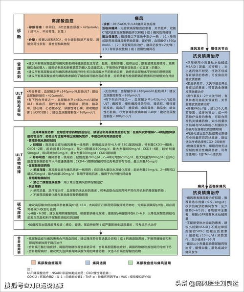 规范治疗痛风，血尿酸持续达标后多久后能停用降尿酸的药物(痛风尿酸多久能降下来)