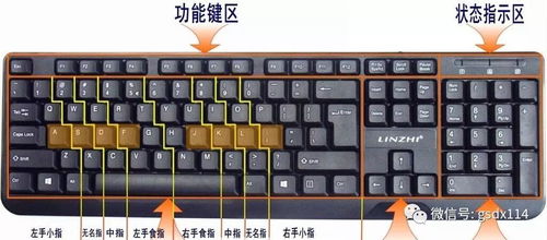 打传奇键盘不能使用F1到F12请问怎么回事(魔法传奇游戏键盘推荐键位)