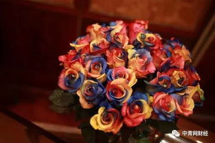 揭秘 七彩玫瑰 数十元一枝 为差玫瑰染色而成 