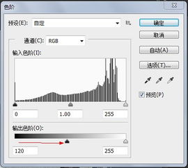 有没有人知道这类头像可以用什么软件做出来 有点模糊,像滤镜效果 