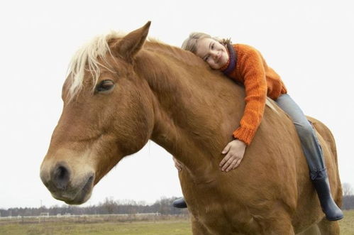 关于马和孩子互动的诗句