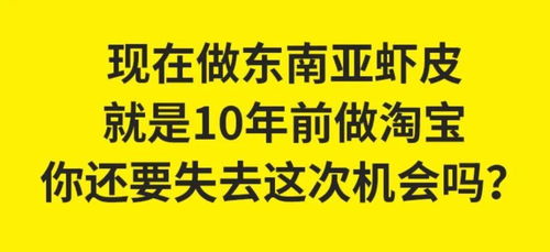 靠搬运拼多多爆款,7天到账10000 跨境电商赚钱的路子,有多野