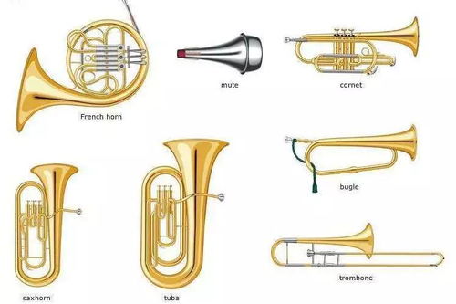 如何区分各种乐器的声音 铜管篇