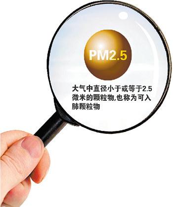 探索与分析-《PM电子国际下注平台网址》：沉浸式游戏体验与安全投注的完美结合