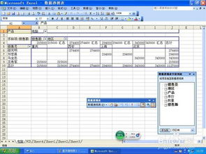 excel数据透视表的显示