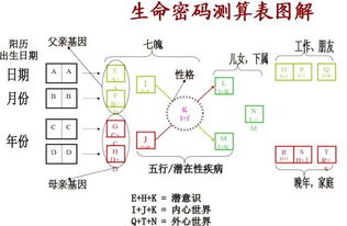 什么样手机号码的人数字能量磁场能够买车买房,看看你有没有,涂师傅九宫神数