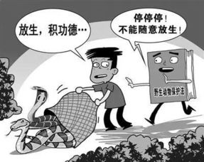 随意放生 可能承担法律责任 