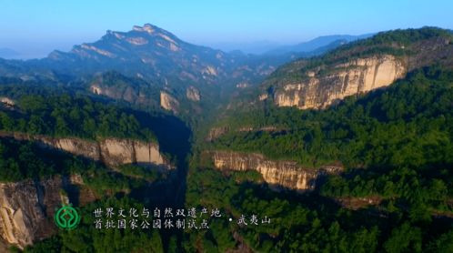 武夷山二中片区划在哪(武夷山二中附近停车场免费)