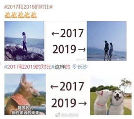 从2017到2019 你有哪些变化 