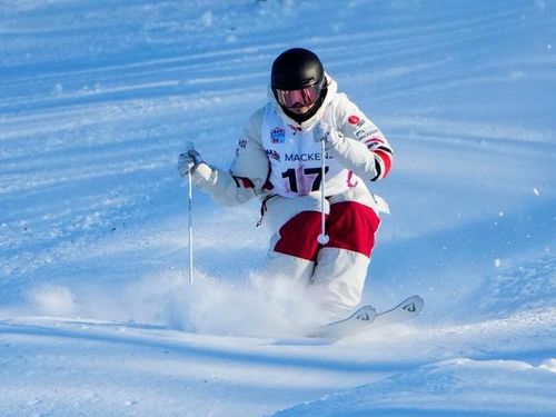 冬奥之自由式滑雪雪上技巧 速度与难度的挑战
