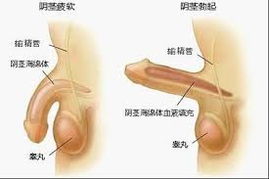 2022飞天茅台市场价多少钱一瓶？