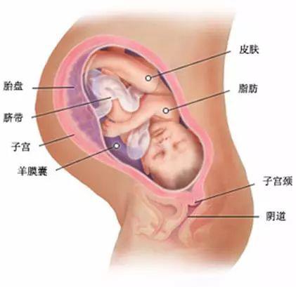 宝宝宫内发出“求救信号”，孕妈“腹痛”感应及时就诊转危为安