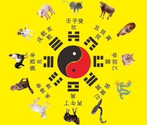 老鼠都能成为十二生肖之首,猫为什么没有入选