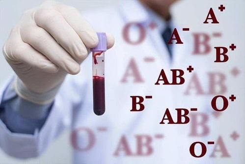 A型 B型 AB型 O型,哪种血型的人抵抗力好 医生给出答案