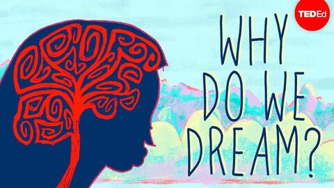人为什麽要做梦 动画科普 梦有什麽用 梦的意义 每个人都会做梦吗 为什麽不记得梦 梦的科学解释 为什麽梦和现实一样 每天都会做梦为什麽记不住 