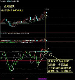 600849后市怎么操作？是14.6的成本