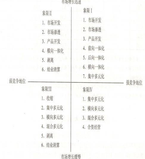 大战略矩阵的介绍