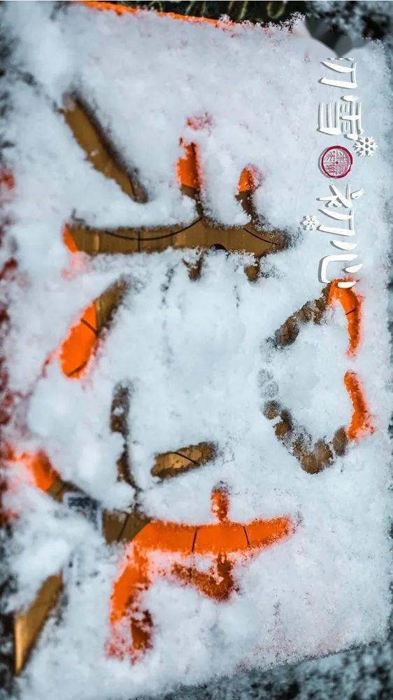 初雪 初心 定格你与未央今冬的第一场雪