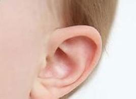 耳朵大的人性格特点：心胸宽广(耳朵小的人性格)