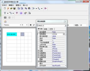 蓝韵报告模板设计器下载 蓝韵报告模板设计器v1.0 绿色版 腾牛下载 