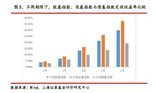 这么多只基金,我应该选什么样的来定投