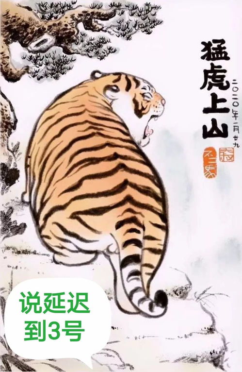 段子来了 猛虎在家办公......