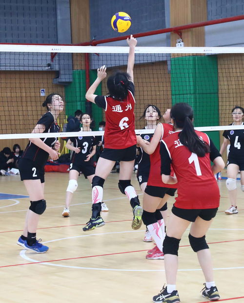 2020北京市中小学生排球锦标赛开赛 1500余名运动员参赛