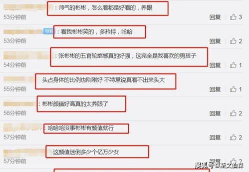 查重系统对比视频：优缺点一网打尽