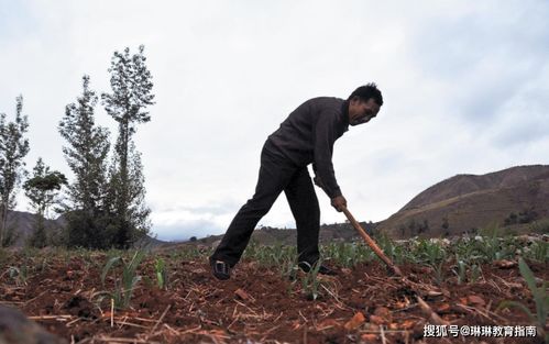 当初就不该让你考研 ,老母亲一番话,道尽无数心酸无奈