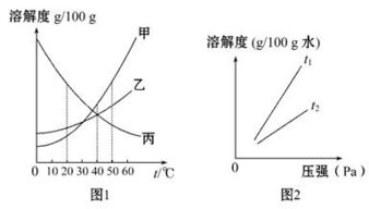 加入溶剂中溶质的量应如何确定？加入量过多或太少将会有何影响？