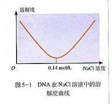 高中生物：为什么在做DNA的提取实验时每次要先溶解DNA在析出？