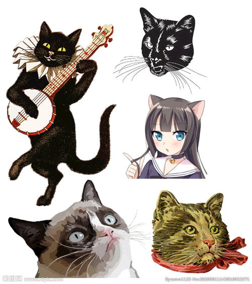 关于猫的图案素材5个图片 