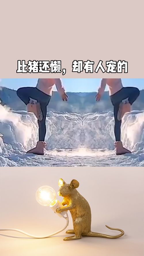 比猪还懒,却有人宠的四个星座 