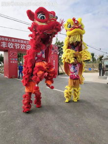 南阳功夫龙狮恭祝国安农博园万人丰收节成功举办