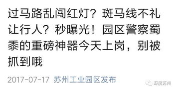 又一记重拳 园区交警大队启用重磅神器,闯红灯 斑马线不礼让分分钟曝光