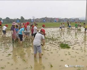 那 之旅启动仪式 带你去广袤的田野里走走