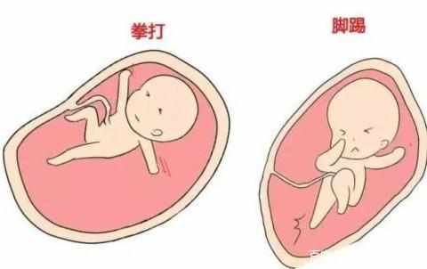 原创为什么晚上胎动频繁？其实胎儿可能在做这3件事！孕妈感受到了吗