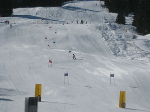 在世界杯滑雪赛道上进行冰雪比赛(你需要知道的比赛规则和技巧)。