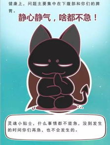 猫石对话 2016年11月运势 