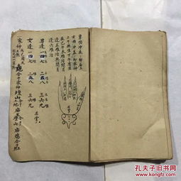 清代命理书易卜启蒙 浑天甲子 断病吉凶 病患掌诀 安世应诀 