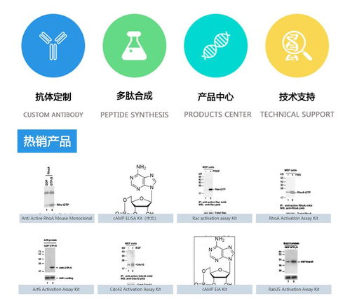 par rate 是什么意思？ par rate 和zero rate 区别联系