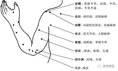 胳膊手部穴位图及作用功效